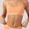 Modal Solids - Coral